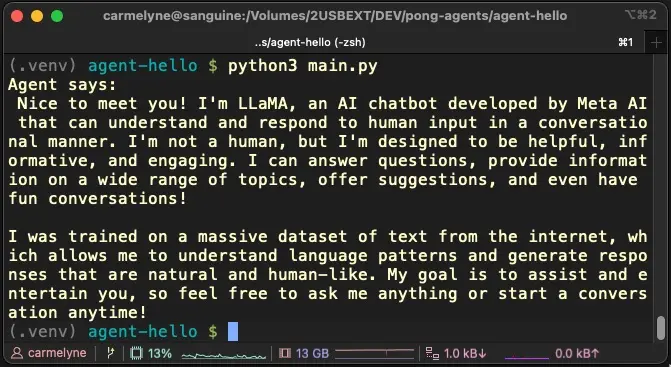 AI Agent with Llama3