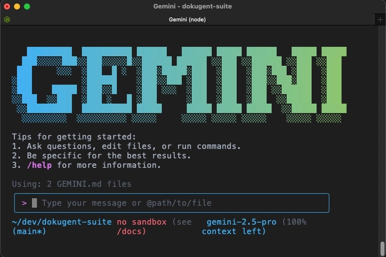 Why I’m Pausing Gemini 2.5 Pro (For Now)